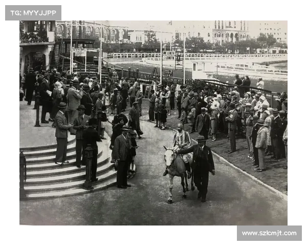 赛马场上突发惊悚事故马匹失控撞栏致伤亡安全警钟再鸣